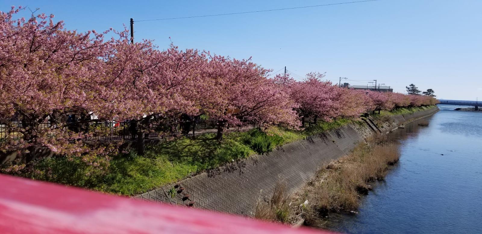 Liburan-ke-Jepang-bersama-Agen-Travel-Terpercaya