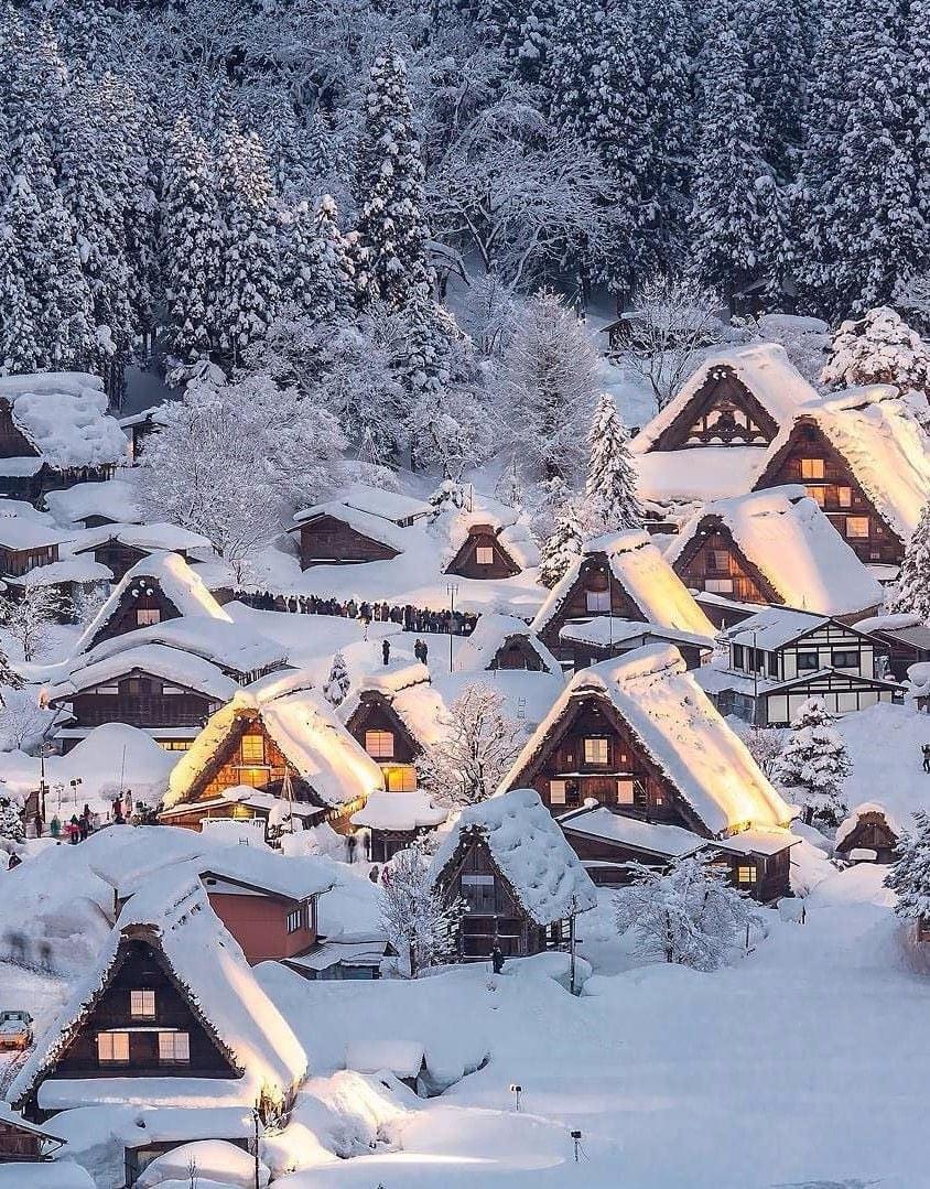 Halal Tour Japan: Panduan Wisata Halal Jepang untuk Muslim