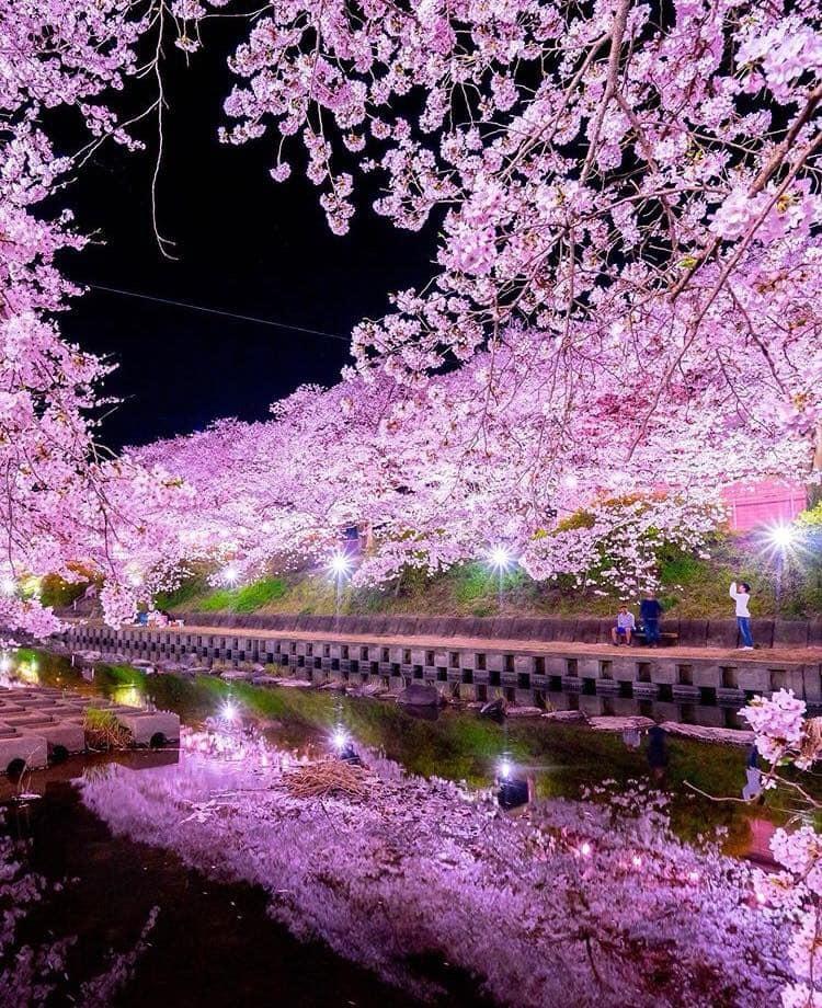 Tour Japan untuk Wisatawan Indonesia